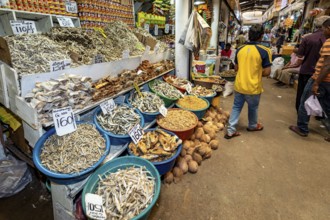 Dried fish and other foodstuffs in trays at a market stand, dealers in the market halls of Kandy