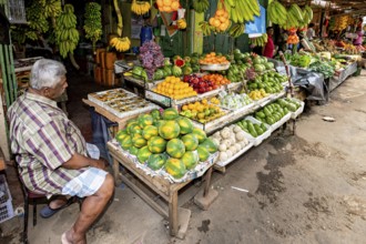 An elderly dealer at a stand with a variety of tropical fruits, dealer in the market halls of Kandy