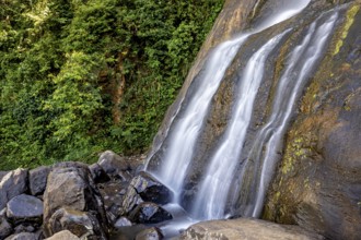 A waterfall pours over rugged rocks, surrounded by thick forest and moss-covered stones, tea