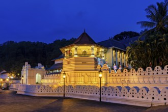 Historic building illuminated in the dark with surrounding vegetation, The Temple of the Tooth in