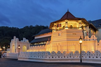 Historic building illuminated at night with atmospheric lighting, The Temple of the Tooth in Kandy