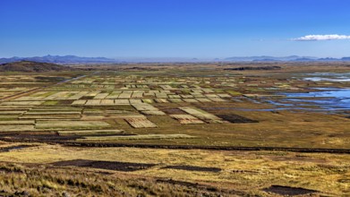 Extensive fields and water areas under a clear blue sky, the landscape in the highlands of Peru