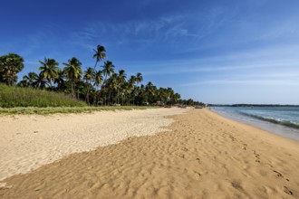 Extensive sandy beach with palm trees and peaceful sea, blue sky, quiet atmosphere, Trincomalee