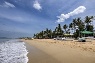 Boats on quiet beach with palm trees and cloudy blue sky, peaceful atmosphere, Trincomalee beach in