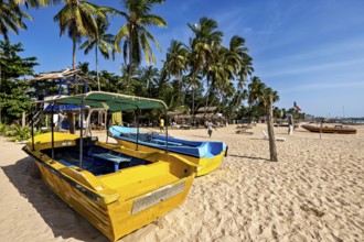 Yellow boats on sandy beach with palm trees and blue sky, holiday atmosphere, Trincomalee beach in