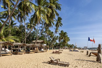 Beach beds under palm trees near huts on a sunny sandy beach, relaxed atmosphere, Trincomalee beach