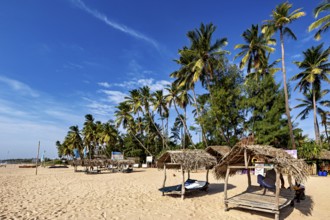 Palm trees and beach huts under a blue sky, relaxed atmosphere on the beach, Trincomalee beach in