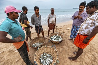 Men on the beach talking about caught fish in baskets, the sea in the background, Traditional
