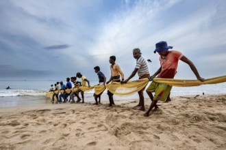 Men on the coast pull a large net while standing in a line, traditional fishermen on Trincomalee
