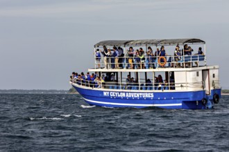 A tour boat full of people on a body of water under a clear sky, whale watching tour boat with