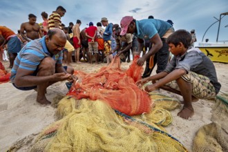 Group of men on beach sorting and inspecting fishing nets, traditional fishermen on Trincomalee