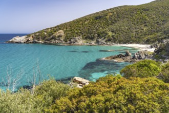 The beach of Kalamos, island of Euboea or Evia, Greece