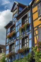 Decorated timber-frame house in the historic old town of Riquewihr, Ellsass