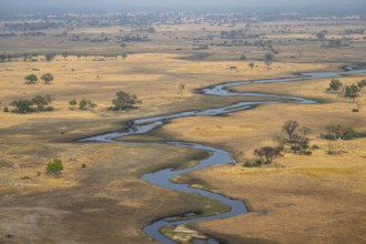 Wetland, landscape, aerial view of the Okavango Delta, near Maun, Okavango Delta, Botswana