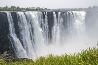 Water plunges into the depths, Victoria Falls with jungle and green plants, Zambezi, Zimbabwe