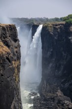 Water plunges into the depths, Victoria Falls with gorge, Zambezi, Zimbabwe
