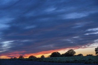 Red blue evening sky, Othenstorf, Mecklenburg-Western Pomerania, Germany
