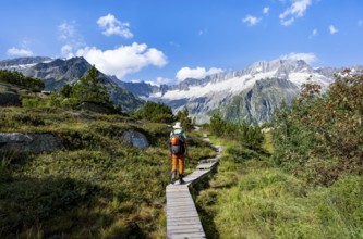 Mountaineers on wooden plank trail through mountain moor, in front of picturesque mountain scenery,