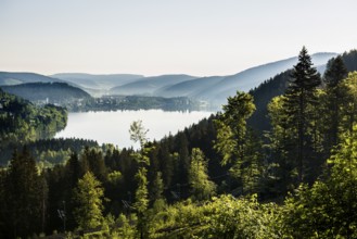 Titisee, Black Forest, Southern Black Forest, Baden-Württemberg, Germany