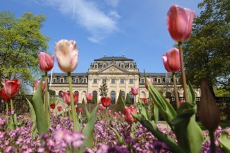 Castle Park, Fulda City Palace, Hesse, Germany