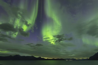 Northern lights at dawn over Sørfolda Fjord near Kjerringøy between Bodø and Sørfold in Norway