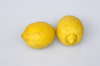 Cutters, lemons, citrus fruits, yellow, studio, food photography, Germany