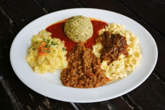 Swabian cuisine, potato salad with flavored onions, spätzle, knöpfle, dumplings with tomato sauce,