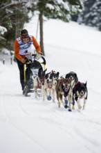 Sled dog racing, Todtmoos, Black Forest, Baden-Württemberg, Germany