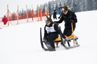 Horn sled racing, Waldau, Black Forest, Baden-Württemberg, Germany