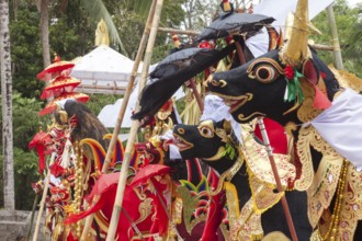 Preparing for a corpse cremation, (Ngaben), Ubud, Bali, Indonesia