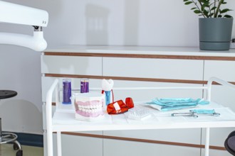 Various instruments, dental models, and hygiene items are laid out on the table in the dental