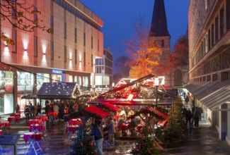 Christmas market in Essen, gastronomy, fire forest, at Essen Cathedral, Kettwiger Straße shopping