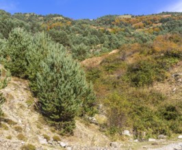 Mountain landscape Guarrinza - La Mina, Aragon Subordan river valley, Parque Natural Valles