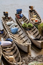 Wooden boats filled with bananas and sacks on the riverbank, longboat on a river near Rurrenabaque
