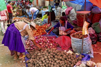 Different types of vegetables are sold in colorful bags at a lively market, The Rurrenabaque market