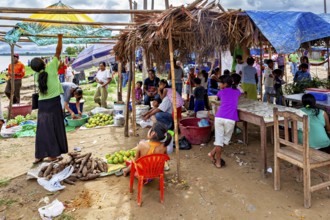 Market scene with people packing fruit and vegetables under makeshift roofs, The Rurrenabaque