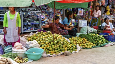 Women sell fruit at a colorful market stall full of fresh goods, The Rurrenabaque market in the