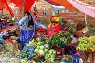 A stand full of vegetables under red tarpaulins at a market, with a brick wall in the background,