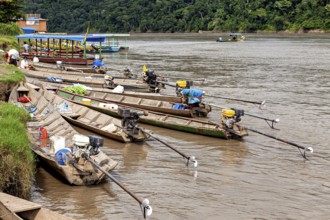 Wooden boats with motors along an overgrown riverbank, longboat on a river near Rurrenabaque in the