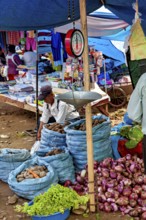 Market scene with vegetable stands, bags full of potatoes and onions. A scale hangs over the stand,