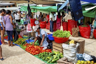 People at the market stand with a wide range of fresh vegetables under various tent canopies, The