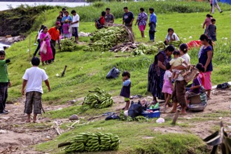 People gather in a meadow full of bananas, the atmosphere seems lively and social, The Rurrenabaque