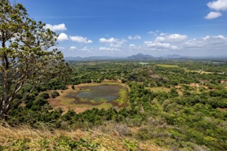 A pond surrounded by trees and fields, with a clear sky and distant hills, the landscape with the