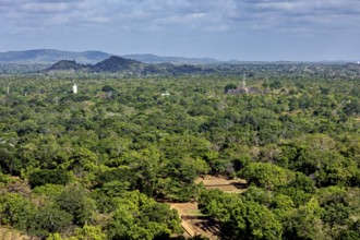 Dense green forests stretch to distant hills under blue skies, the landscape with views from Lion