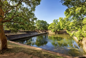 A tranquil pond surrounded by lush trees under a clear blue sky, the temples, dagobas, and pagodas