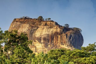 Close-up of an imposing rock with trees at the top under a clear sky, The Lion Rock near Sigiriya