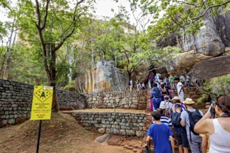 Group of people on a hiking trail next to rocks and trees, tourist environment, tourists at the
