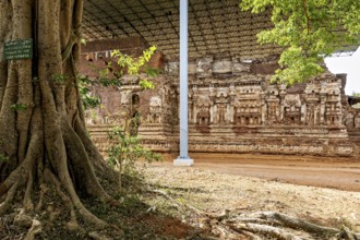View of ancient ruins under a modern canopy with trees in the foreground, The temples of