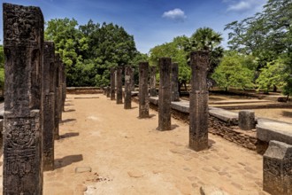 Row of open-air stone pillars on a sunny brick path with trees, The temples of Polonnaruwa in Sri
