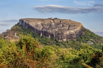 Large rock with green vegetation and cloudy sky in the background, The Pidurangala Rock near